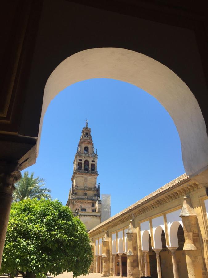 Casa Terraza Juderia Lejlighed Córdoba Eksteriør billede