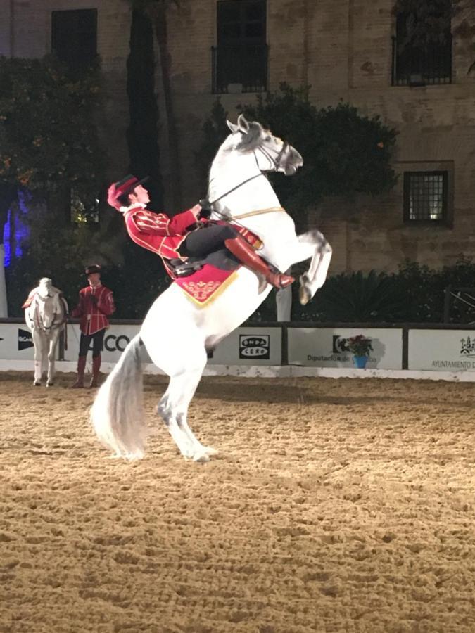 Casa Terraza Juderia Lejlighed Córdoba Eksteriør billede